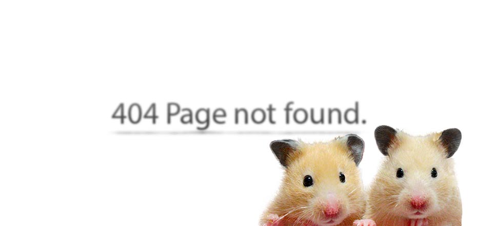 404 Page not found. ページが見つかりません。