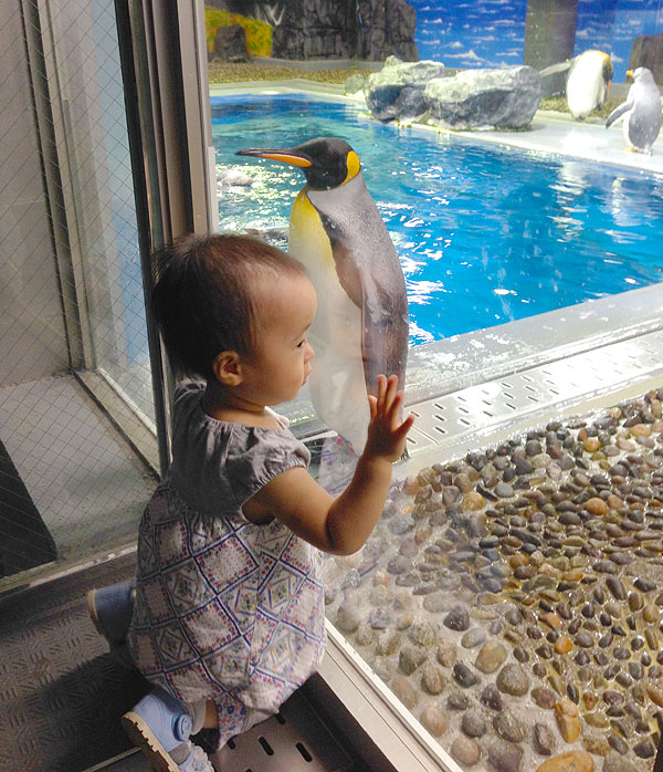 2歳の娘。越前松島水族館にて。