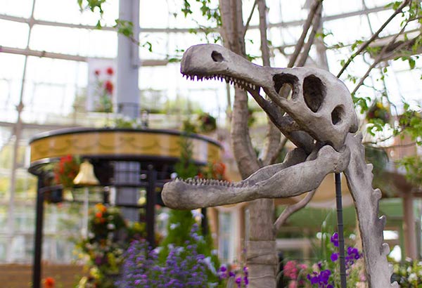 丸岡町グリーンパーク リニューアルオープンした植物園にて 恐竜の置物と